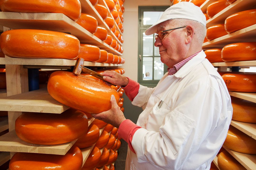 visite de l'entrepot de la maison du fromage de Woerden