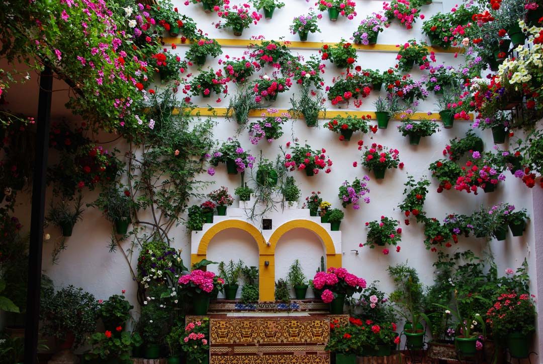 Fete des patios fleuris à Cordoue - Andalousie