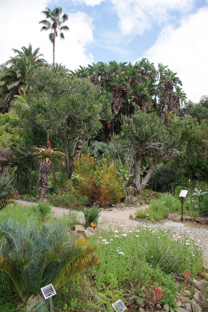 Jardin Botanique de Stellenbosch
