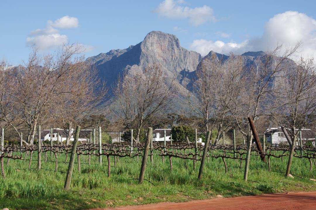Paysage de la route des vins d'Afrique du Sud