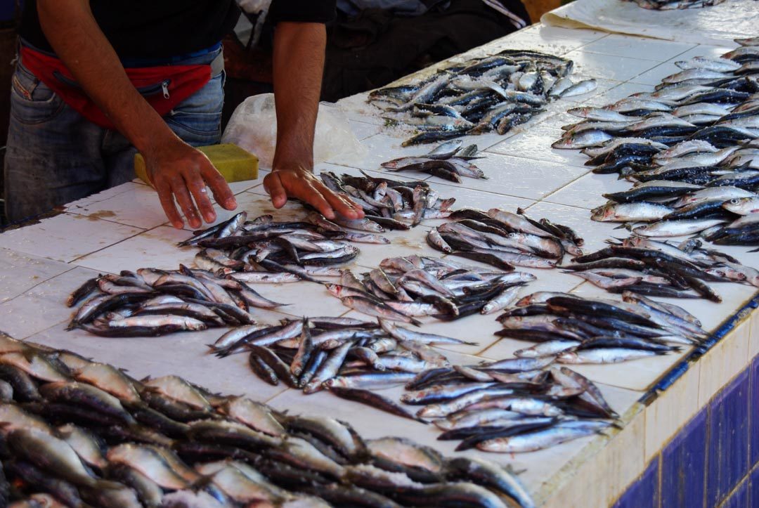 le Souk aux poissons d'Essaouira