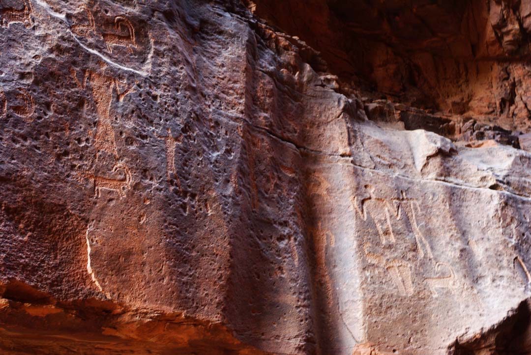 petroglyphes - Wadi Rum - Jordanie