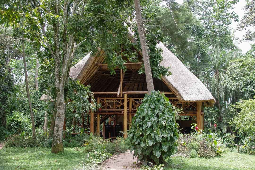 REstaurant et salle commune de Kibale Forest Camp