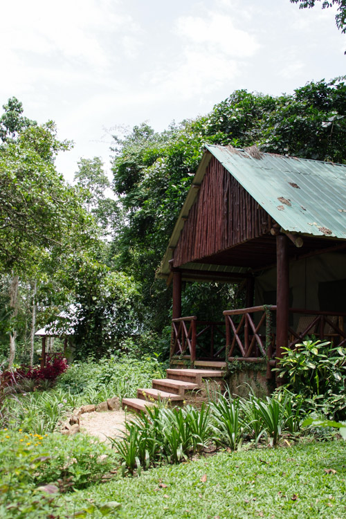 Lodge Kibale Forest Camp en Ouganda