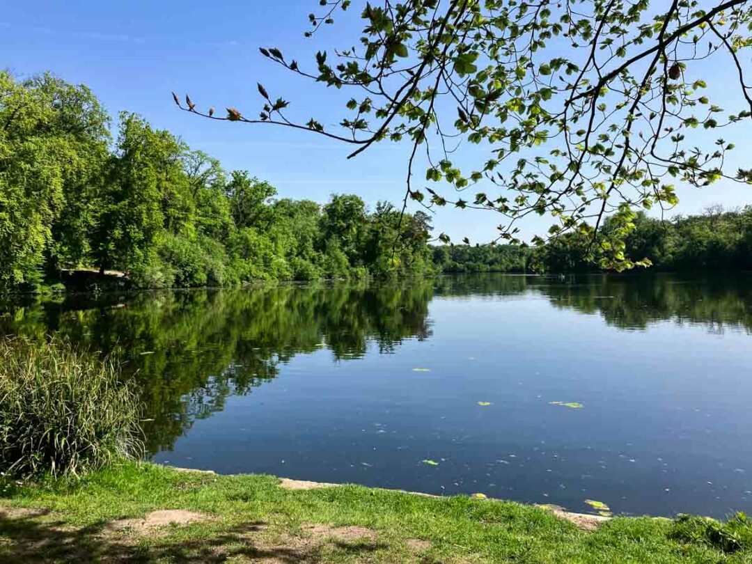 les Etangs de Commelles dans l'Oise