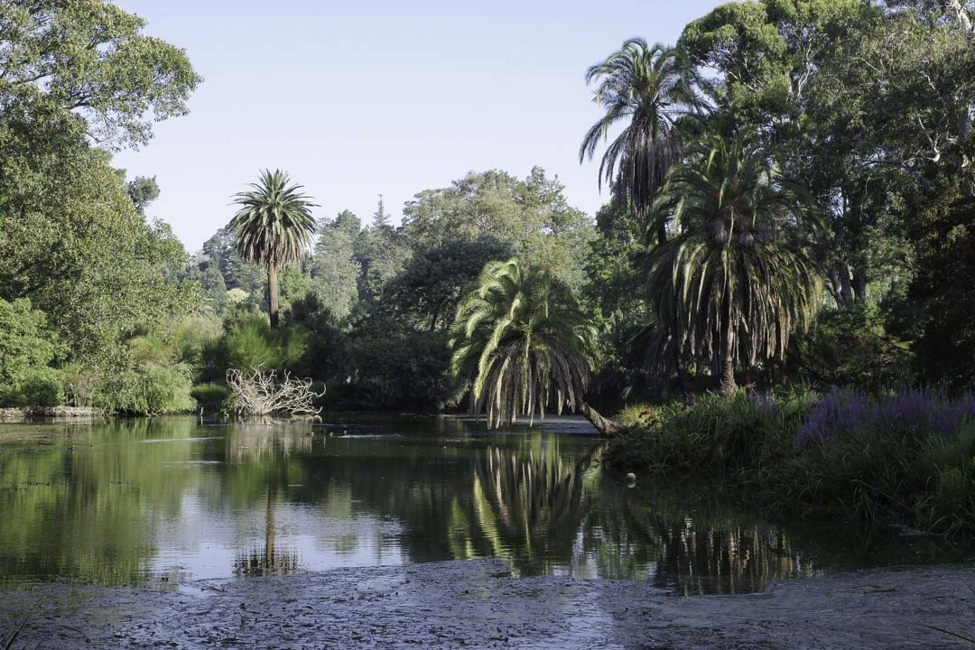 Jardin botanique de Melbourne