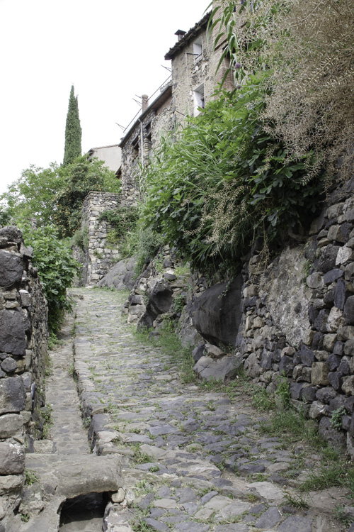 Castellfollit de la Roca