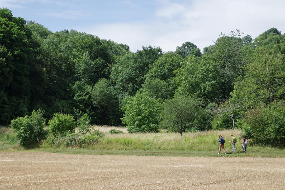 Marche Nordique à Laon