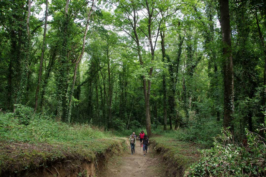 Marche Nordique à Laon - cuvette saint vincent