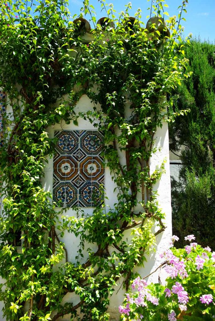 détail : végétation et azulejos au palaccio de Viana à Cordoue