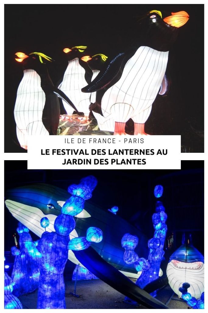 Admirer les animaux illuminés à l'occasion du festival des lanternes chinoises qui se déroule chaque hiver au Jardin des Plantes à Paris