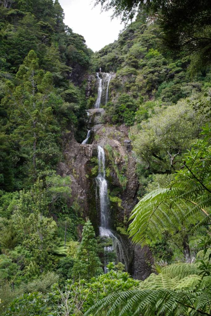 la cascade de Kitekite près de Piha Beach dans l'ile du Nord de Nouvelle-Zélande