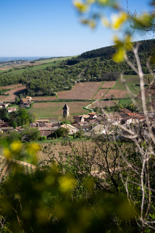 Point de vue sur le village de Solutré