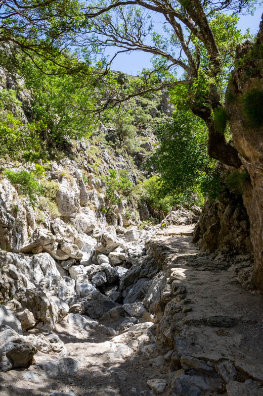 randonnée dans les Gorges de Kallikratis en Crète