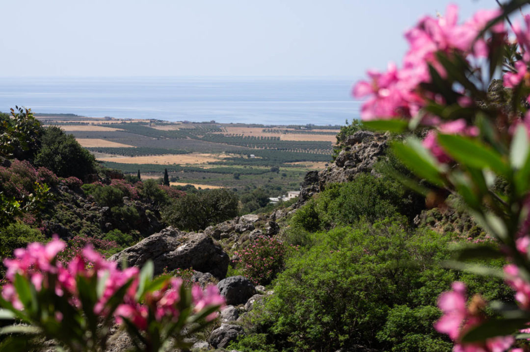 le printemps est la saison idéale pour randonner dans les paysages fleuris de Crète