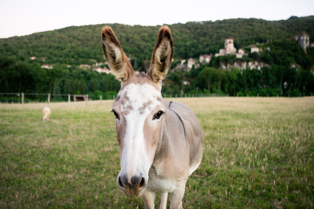 Que voir dans les Vallées du Lot et du Célé autour de SaintCirq