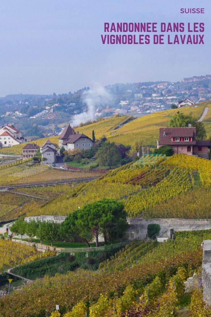 Randonnée à travers des coteaux du Lavaux sur les rives du Lac Léman - découvrez les vignobles en terrasse classés au Patrimoine Mondial de l'UNESCO - Canton de Vaud - Suisse