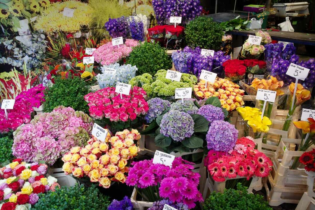 Bloemenmarkt : le marché aux fleurs d'Amsterdam - stand de fleurs