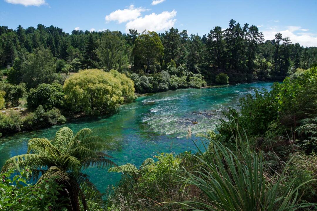 Waikato River près de Taupo dans l'île du Nord de la Nouvelle-Zélande