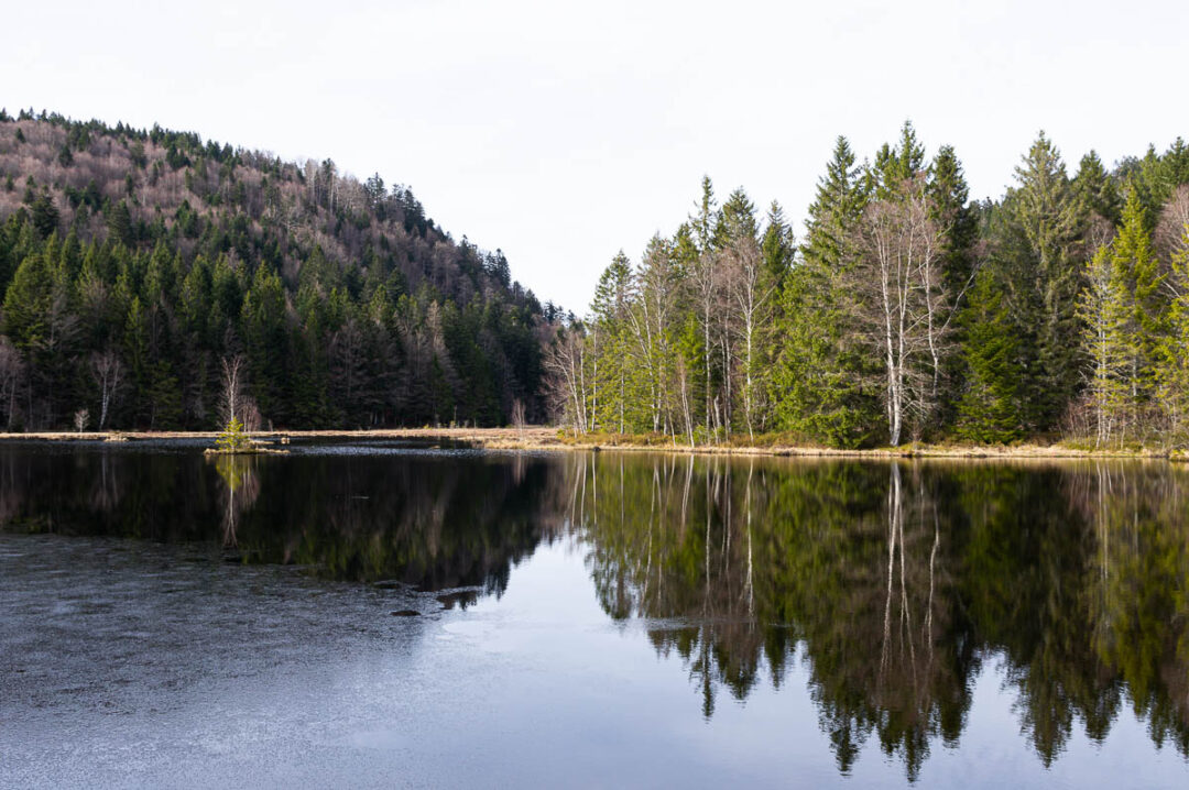 Lac de Lispach près de la Bresse dans les Hautes-Vosges - zone naturelle sensible