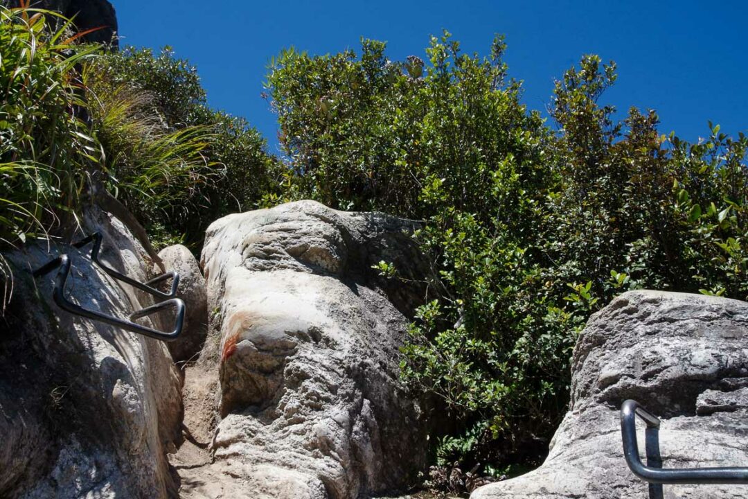 Petites echelle pour accéder au sommet du Pinnacles de la péninsule de Coromandel