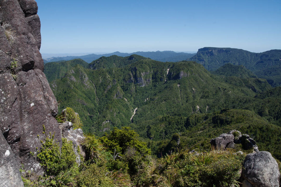 Panorama sur la forêt de Coromandel depuis le sommet du Pinnacle