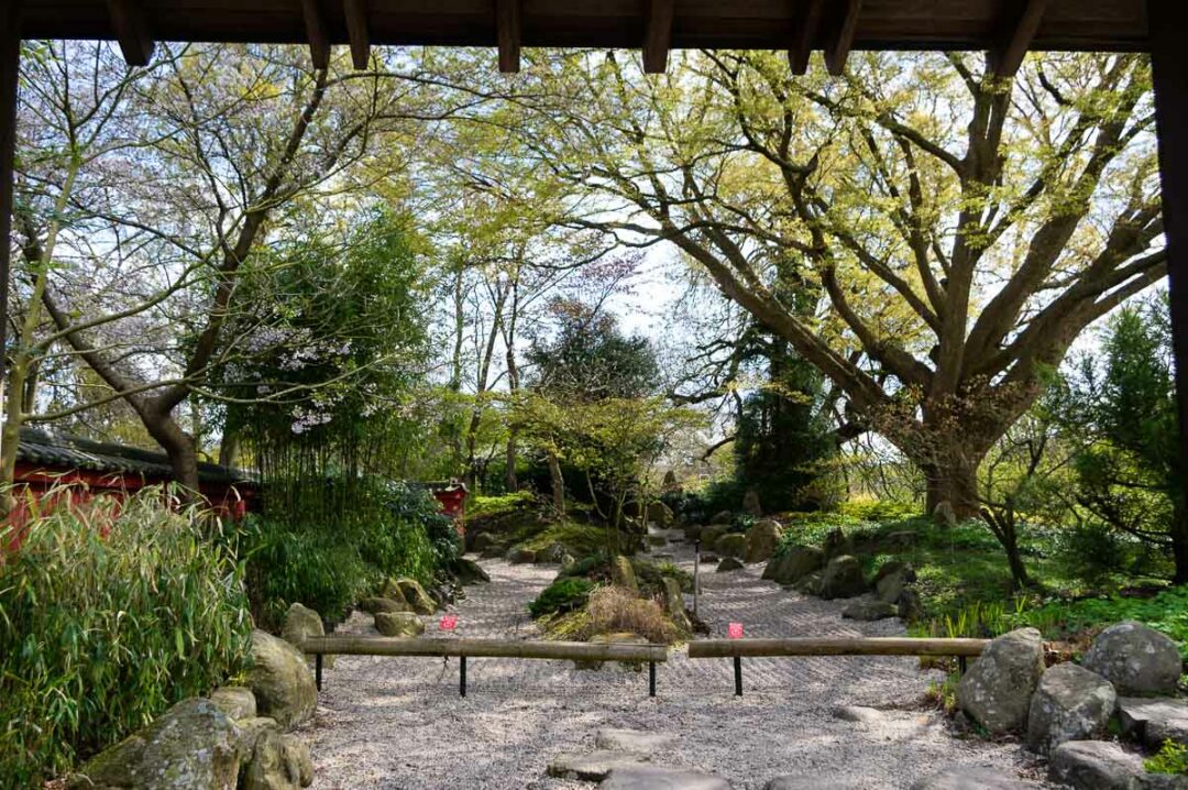 Jardin Japonais - Hortus Botanicus - Leyde