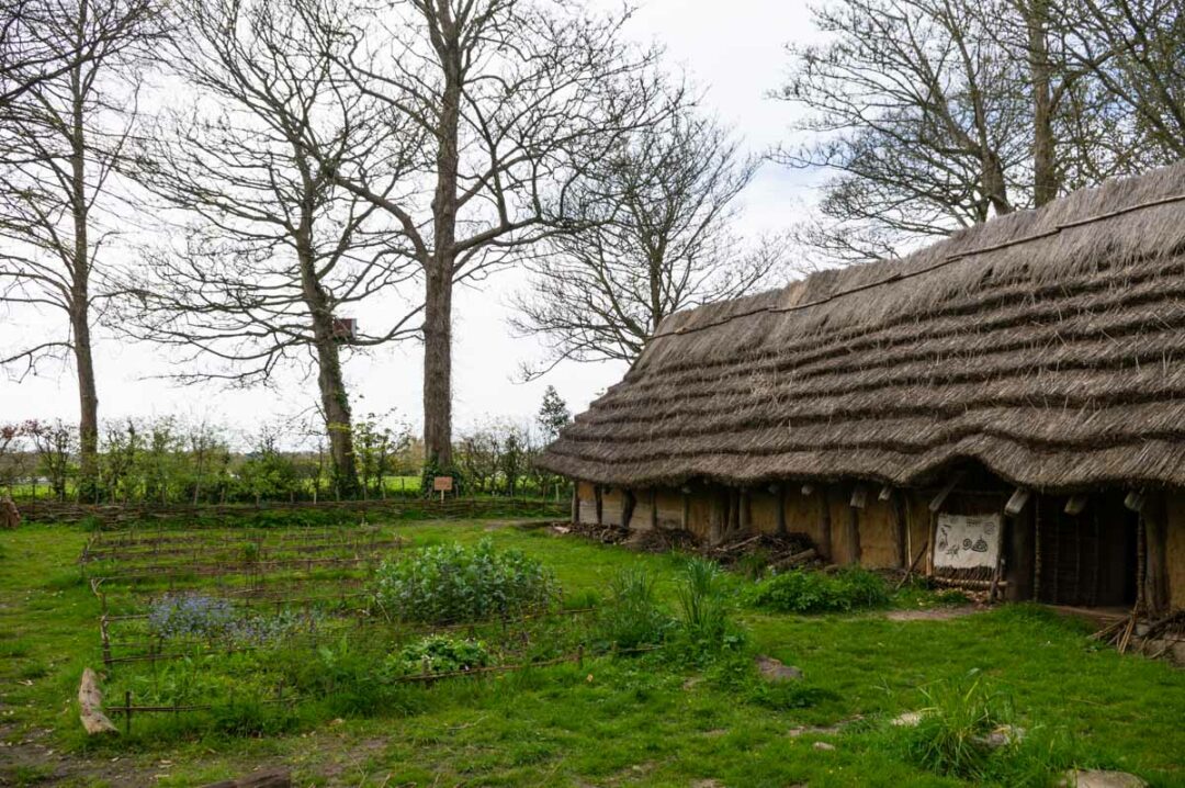 reconstitution d'une maison du néolithique sur le site de la Hougue Bie