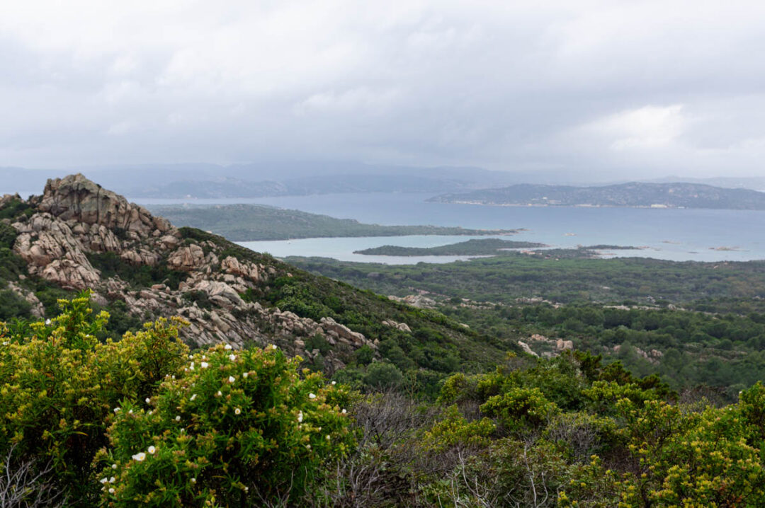 randonnée à Monte Telajone avec vue sur l'île de la Caprera