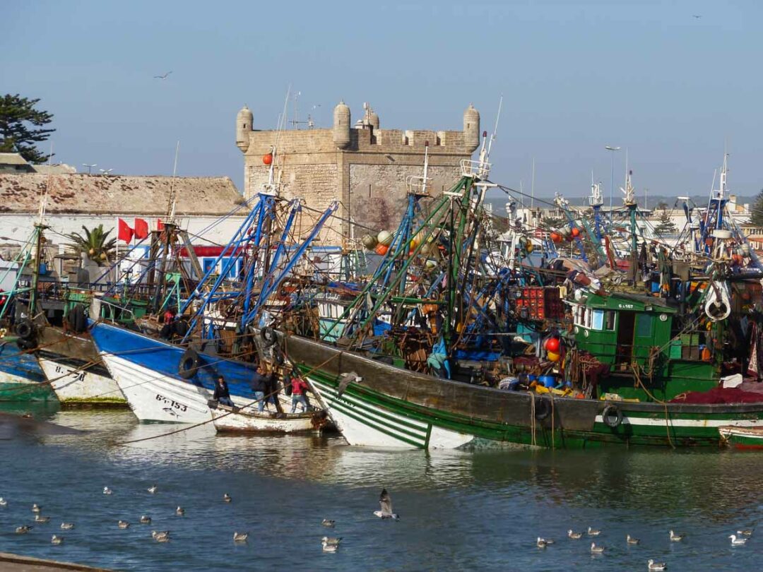 le port de pèche d'Essaouira