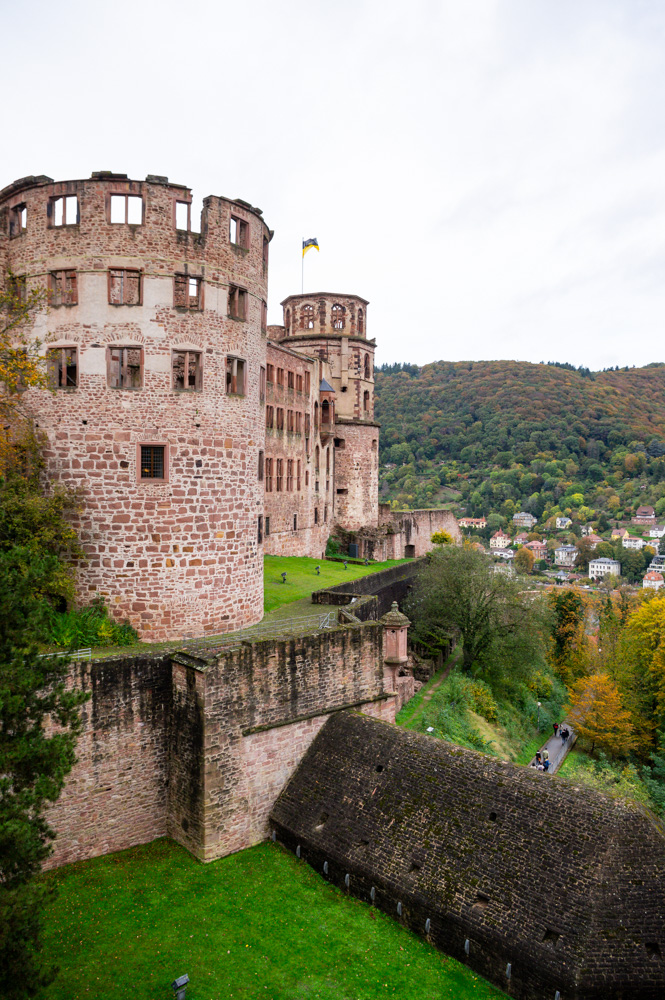 le château d'Heidelberg vu des jardins