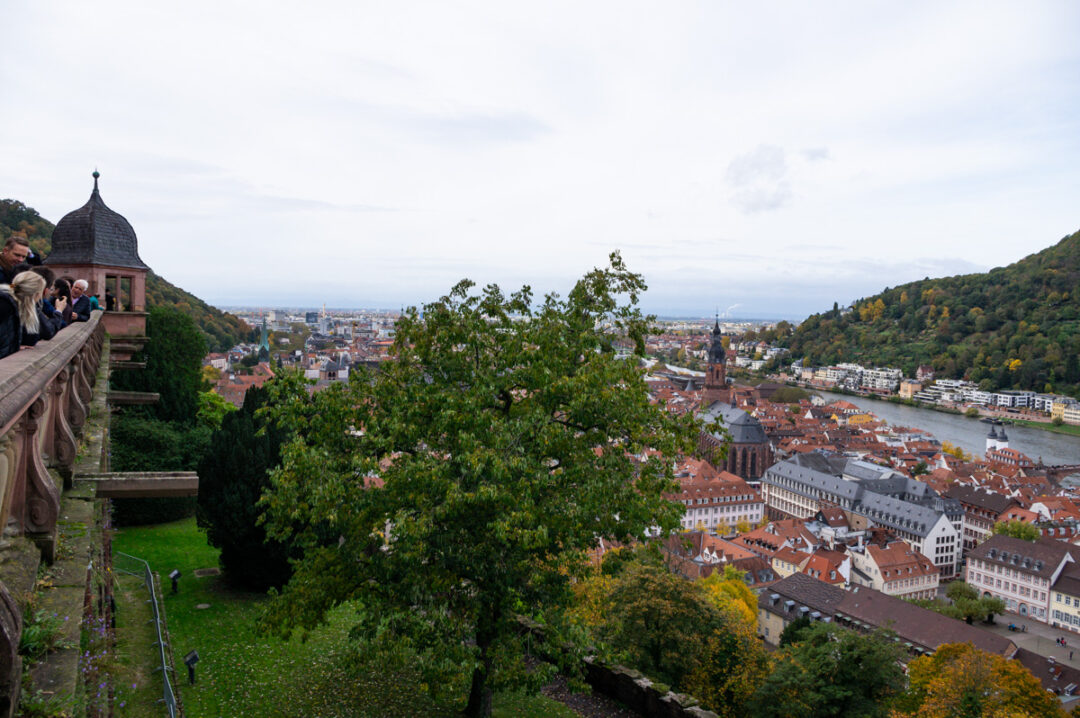 Panorama sur Heidelberg et la rivière Neckar depuis la terrasse du Château