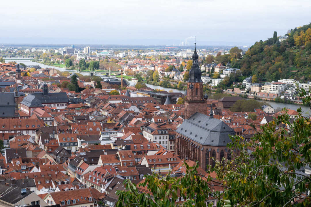 Panorama sur Heidelberg depuis le Château