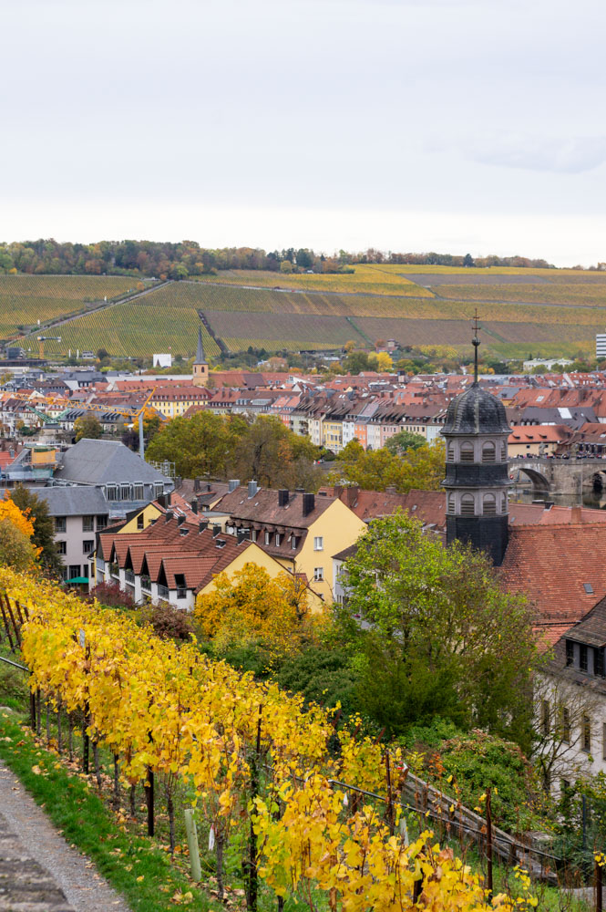 panorama sur Würtzburg et ses vignobles