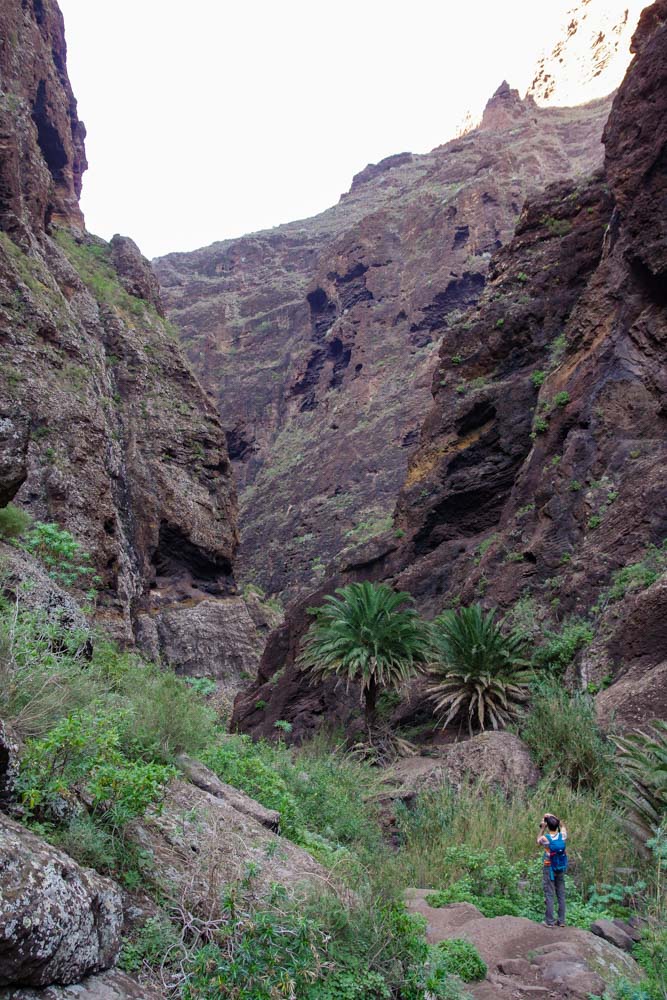 randonnée dans les Gorges de Masca à Tenerife