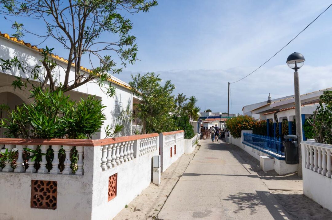 rue principale de l'île d'Armona