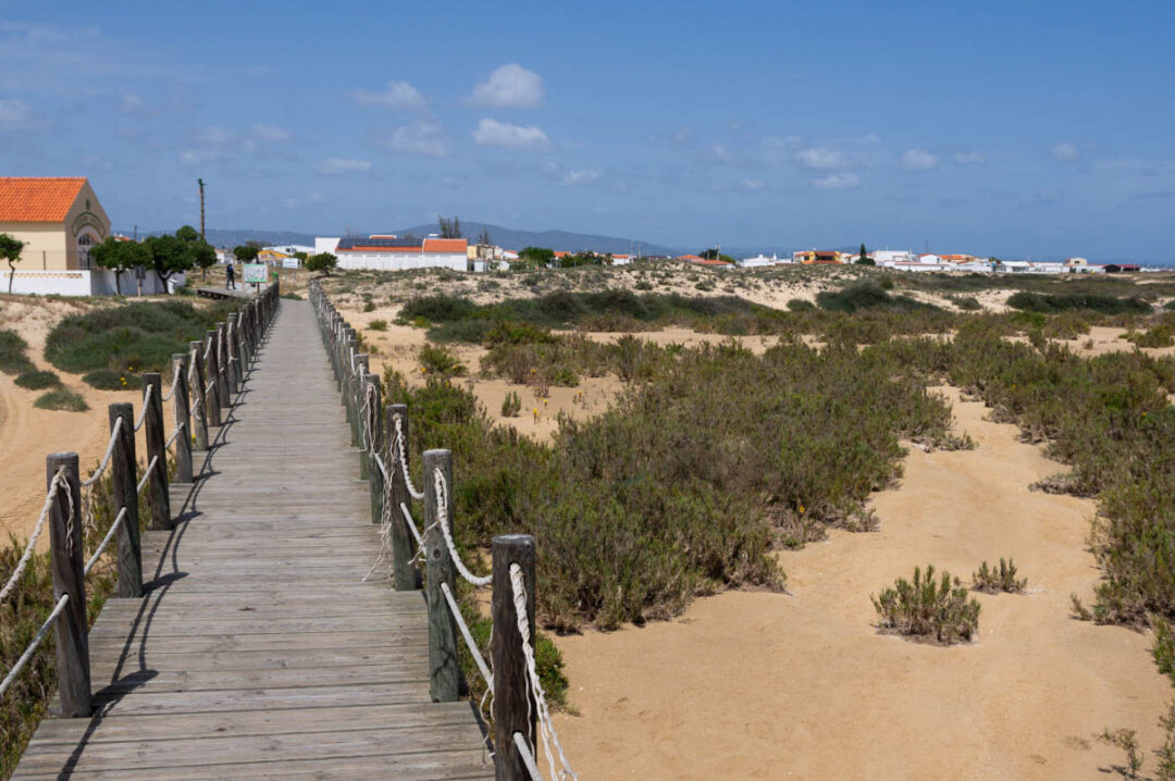 balade dans les dunes de Culatra