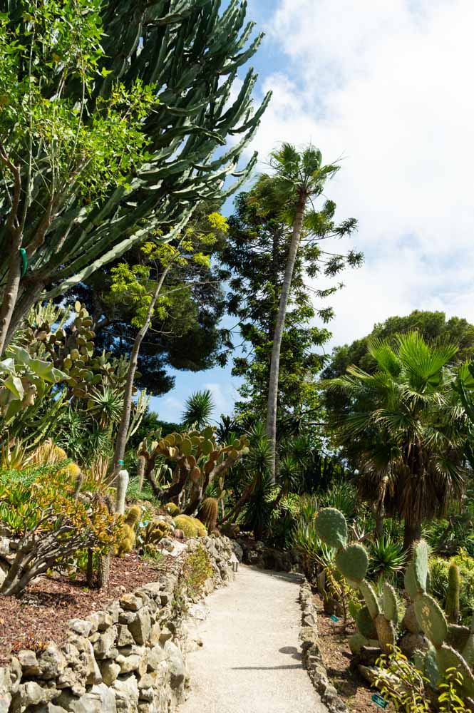 le jardin de Cactus de la Villa Ephrussi de Rotschild