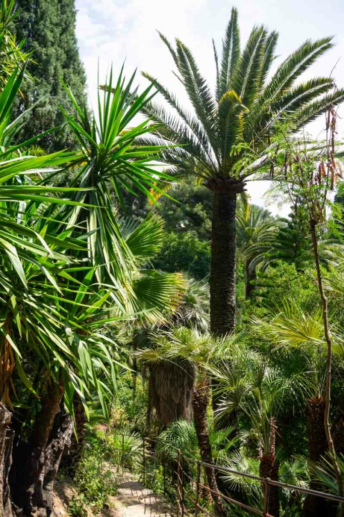 le Jardin Botanique de Val Rahmeh à Menton