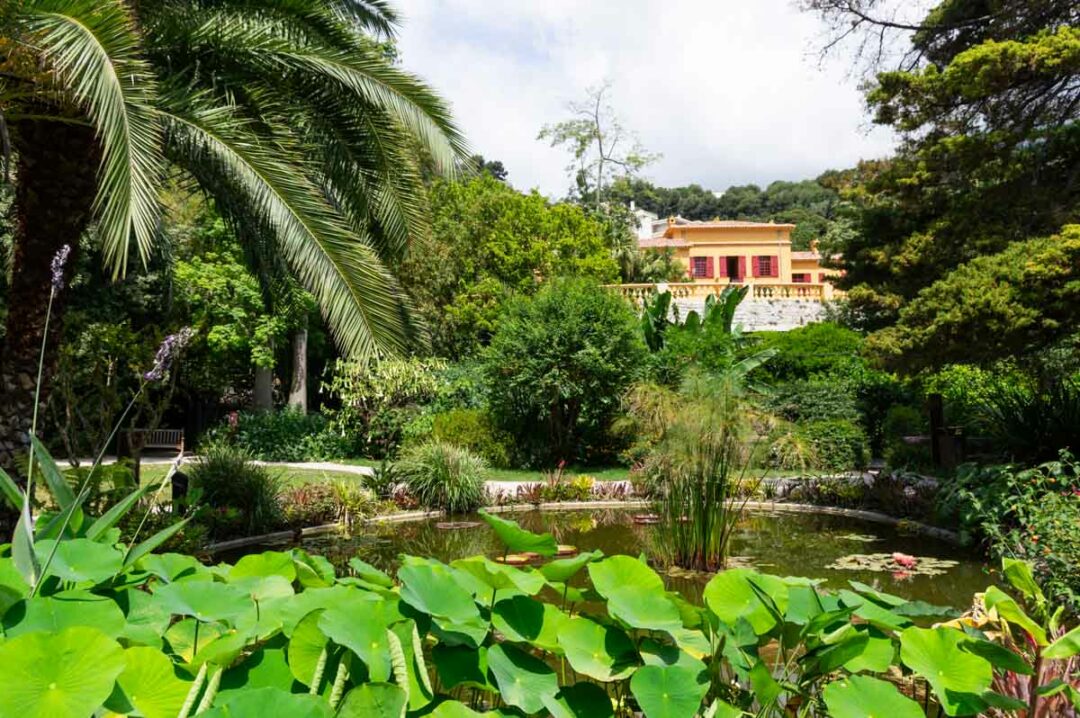 le Jardin Botanique de Val Rahmeh à Menton