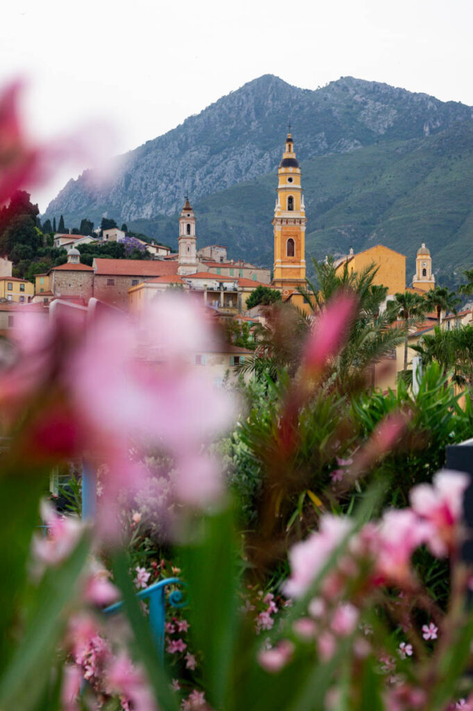 Menton et les lauriers roses