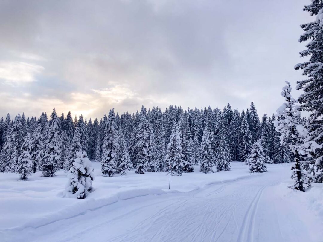 le domaine nordique des Saisies