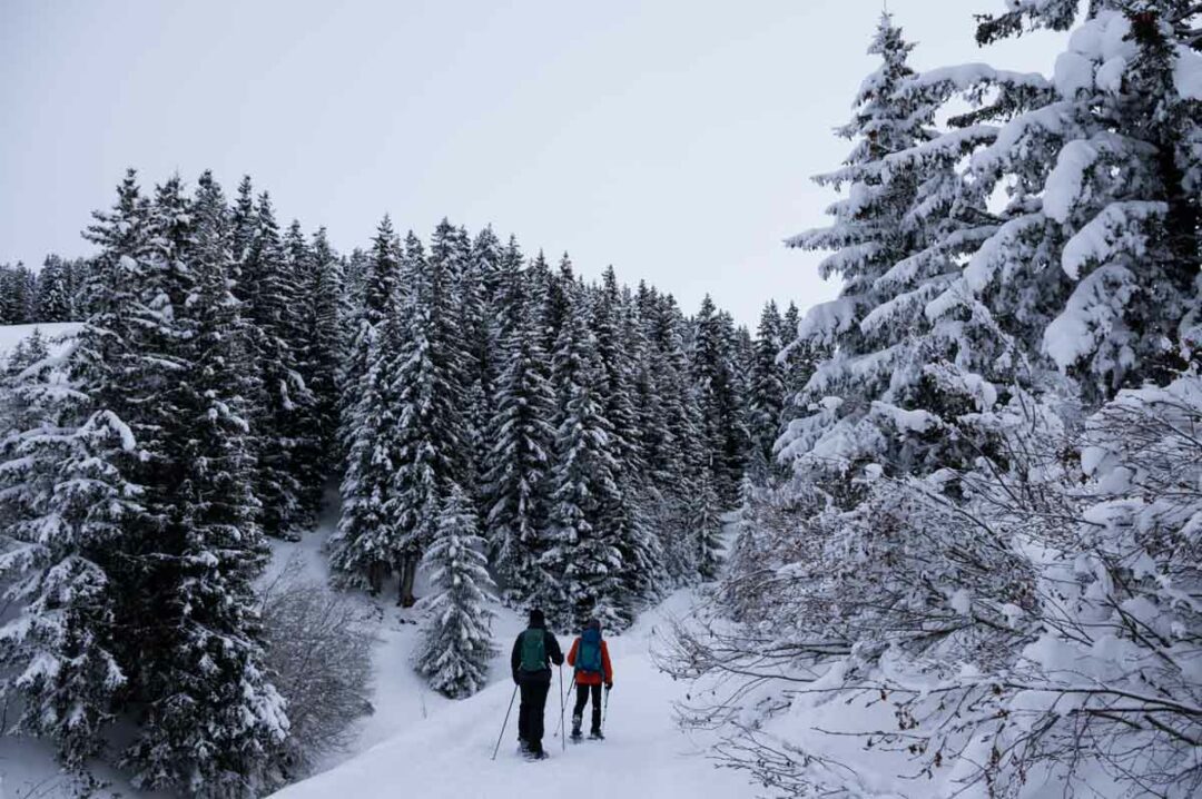 Itinéraire raquette du Tour du Chard du Beurre