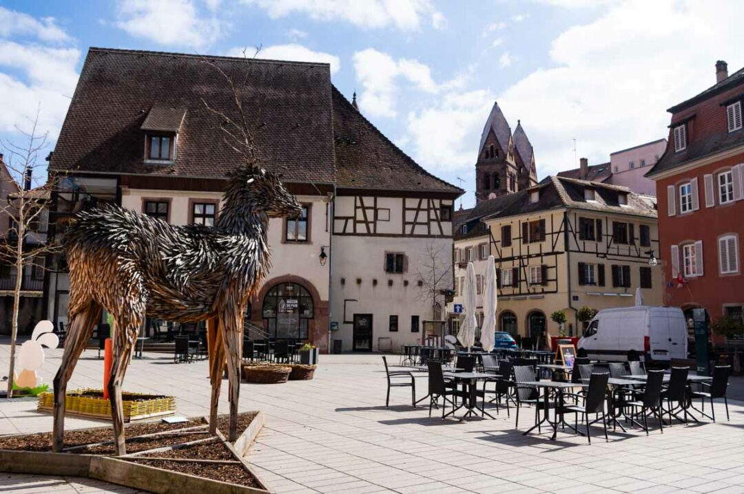 place de la bibliothèque humaniste à Sélestat