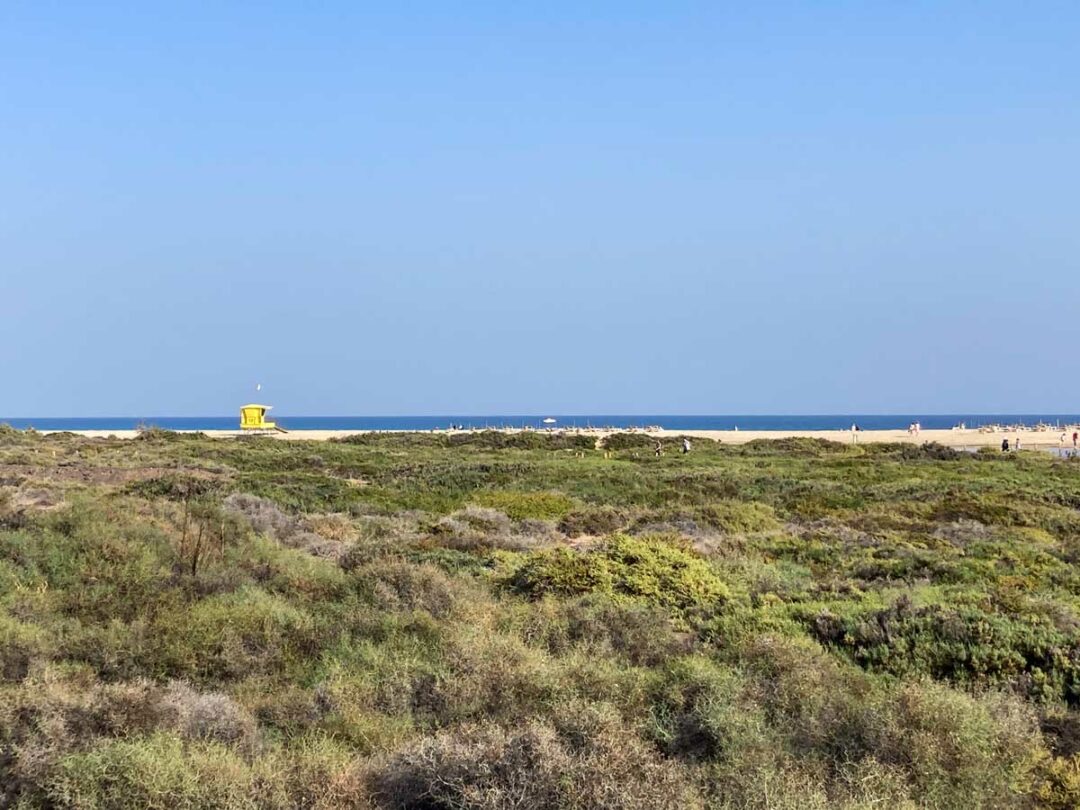 plage de jandia