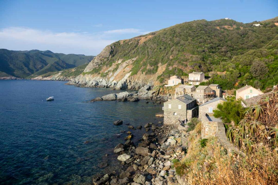 balade autour de la marine de Pino