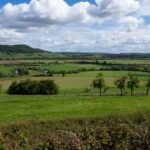 la plaine des vosges