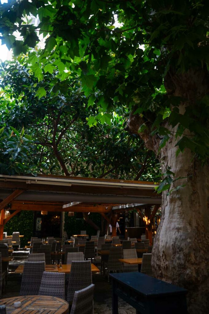 centre historique de l'ile rousse en corse