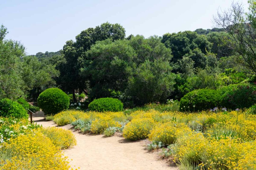 Visiter le Parc de Saleccia en Corse