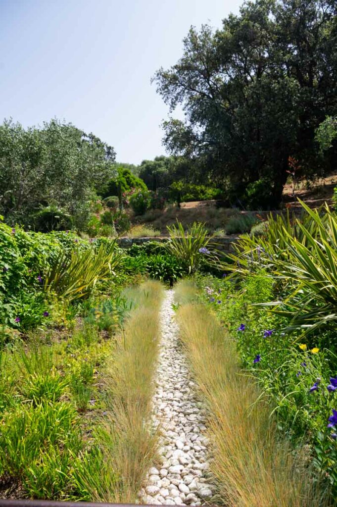 Visiter le Parc de Saleccia en Corse